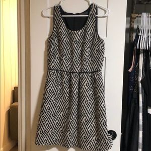 The Limited Black and White Dress